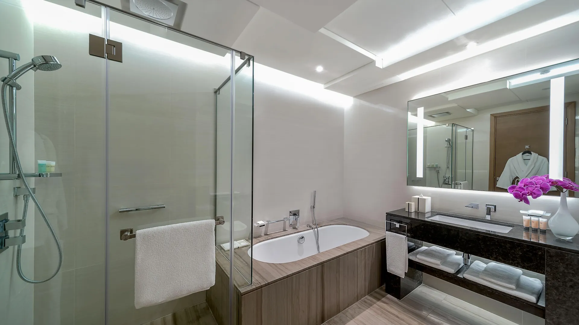 Hotel Hyatt Regency Dubai Creek Heights