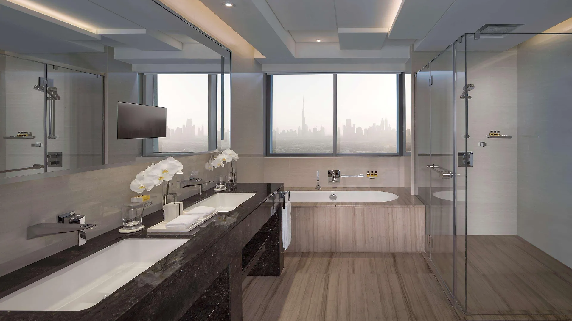 Hotel Hyatt Regency Dubai Creek Heights